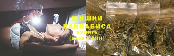 гашик Вязьма