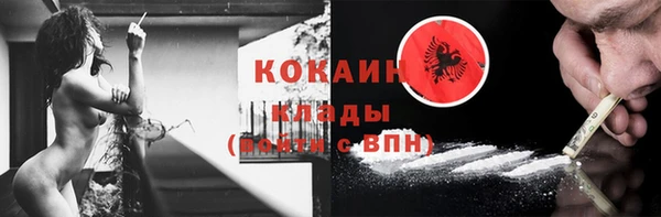 винт Горняк