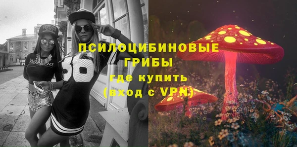 гашик Вязьма