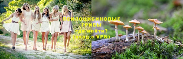 винт Горняк