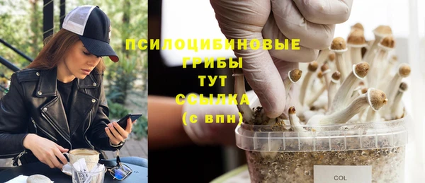винт Горняк
