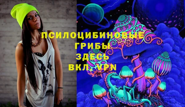 гидропоника Вяземский
