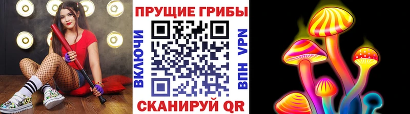 Псилоцибиновые грибы Magic Shrooms  наркошоп  Мценск 