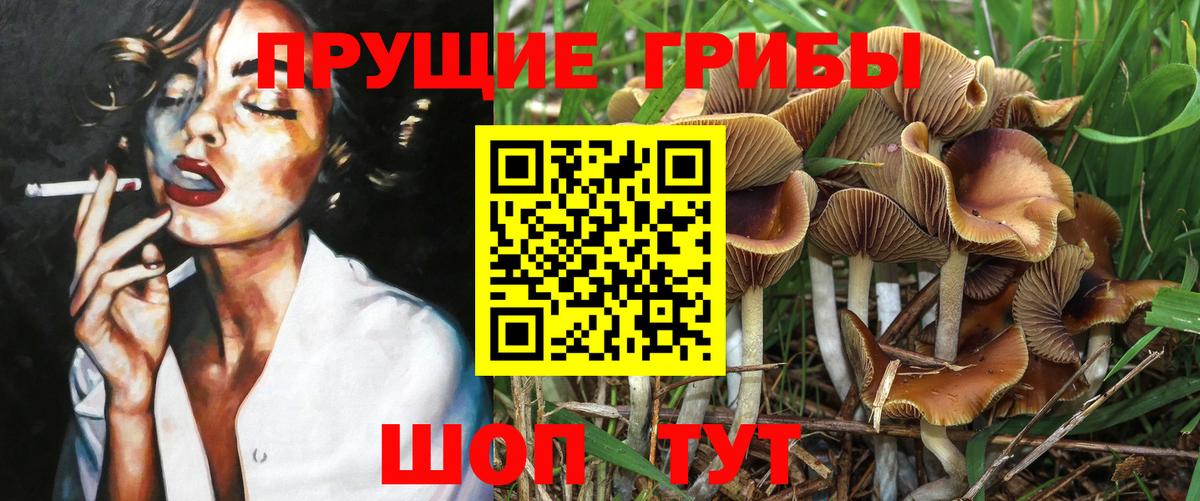 Мценск  Псилоцибиновые грибы Magic Shrooms  Вход с VPN 